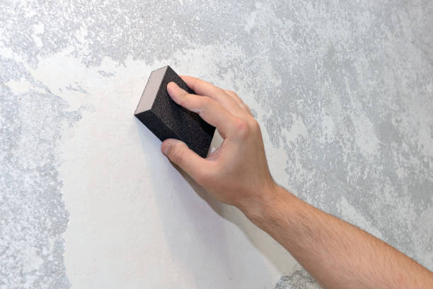 Best Crawl Space Mold Remediation  in Aberdeen, OH
