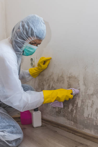 Best Residential Mold Inspection & Testing  in Aberdeen, OH