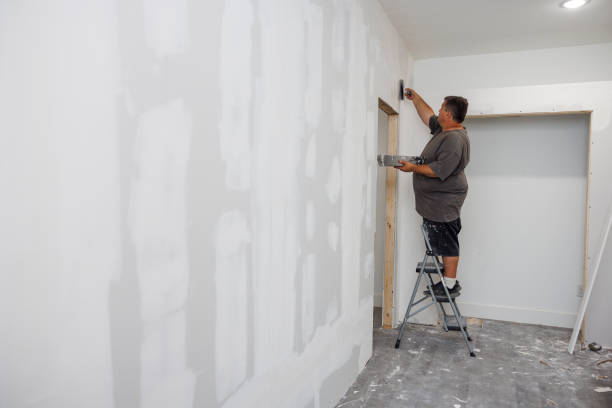 Best Black Mold Removal  in Aberdeen, OH