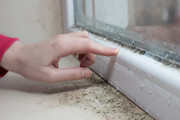 Best HVAC Mold Inspection and Cleaning  in Aberdeen, OH