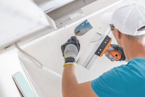 Best Mold Damage Restoration  in Aberdeen, OH